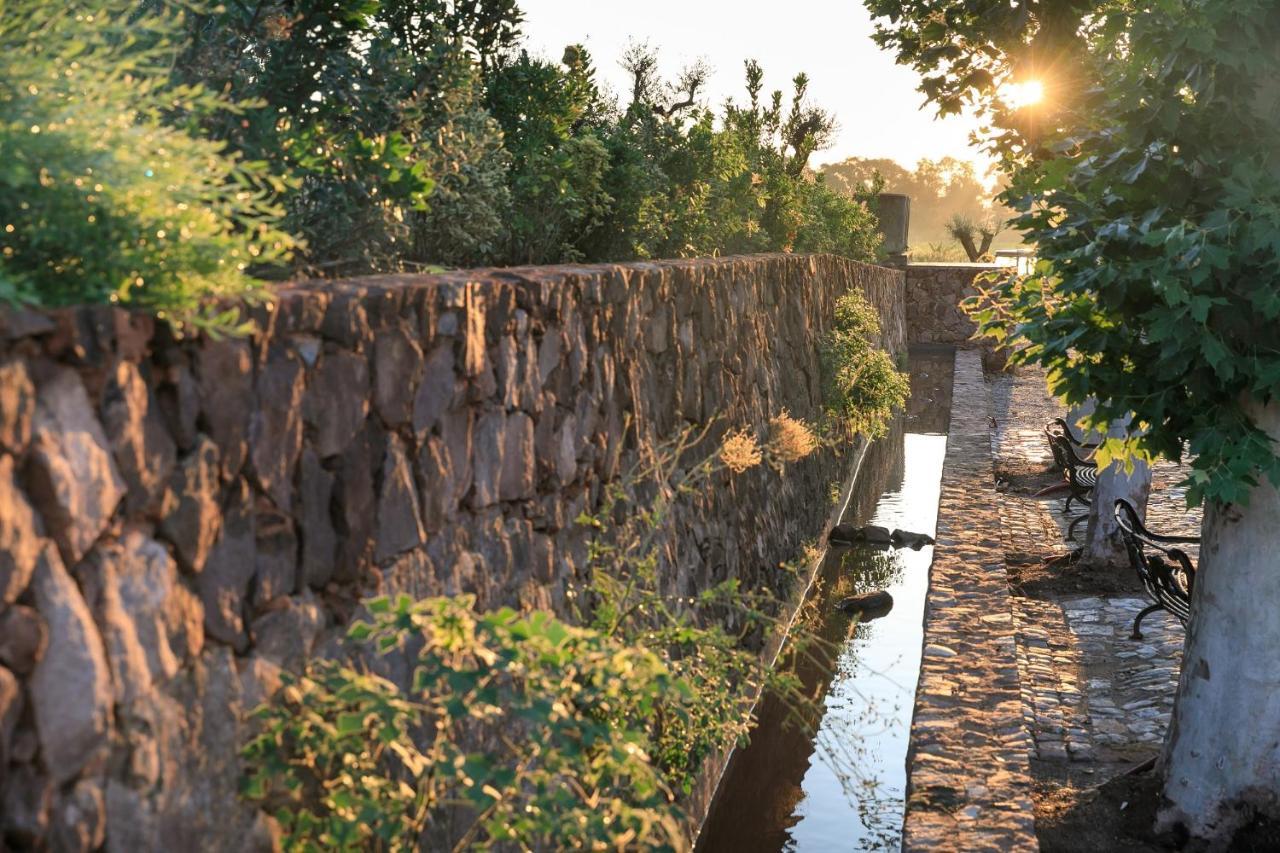 Chateau Saint Roux Le Luc-Le Cannet Des Maures Bagian luar foto