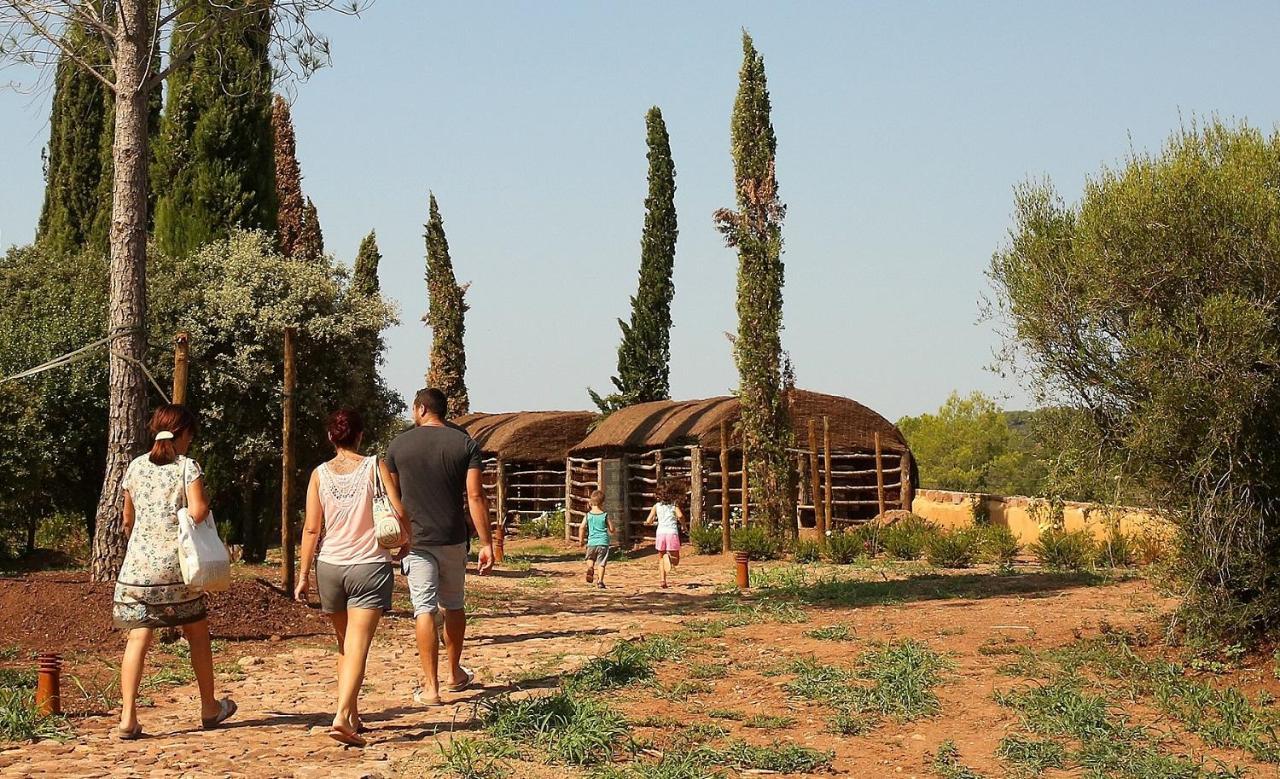Chateau Saint Roux Le Luc-Le Cannet Des Maures Bagian luar foto